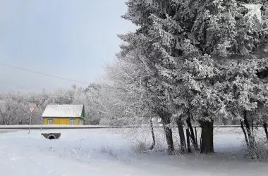 Госкомимущество разъясняет, в  каких случаях не распространяется земельная амнистия