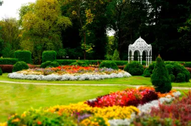 Фестиваль науки пройдет в ботаническом саду