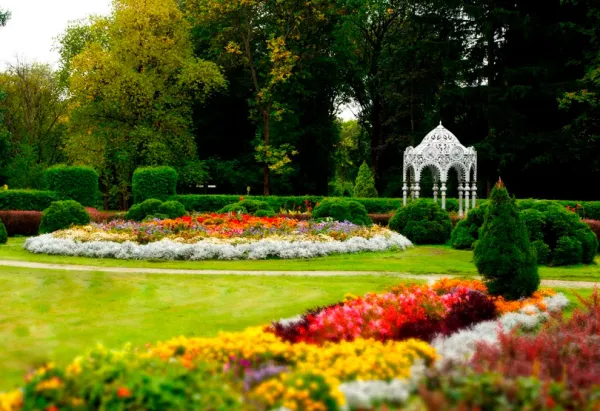 Фестиваль науки пройдет в ботаническом саду