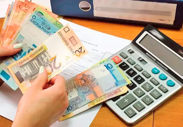 Минтруда опубликовало разъяснения по уплате взносов в ФСЗН для ИП и самозанятых