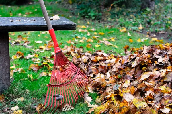 Осенние субботники пройдут в столице 12 октября
