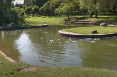 Зона отдыха «Место силы» появилась в Минске