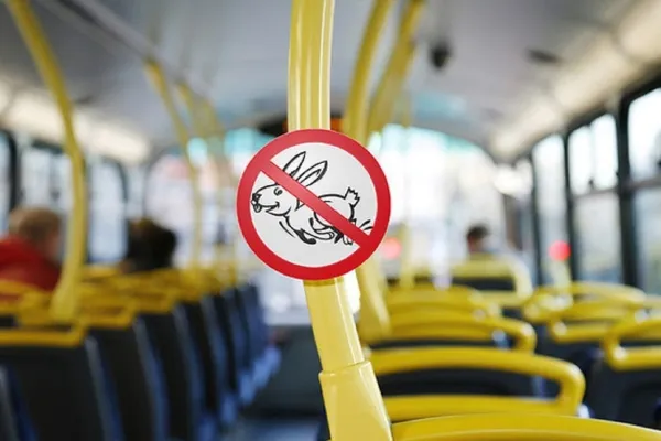 Штраф за безбилетный проезд в Минске можно будет оплатить только через ЕРИП