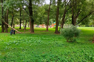 Большую зеленую зону в Ленинском районе ждут преобразования
