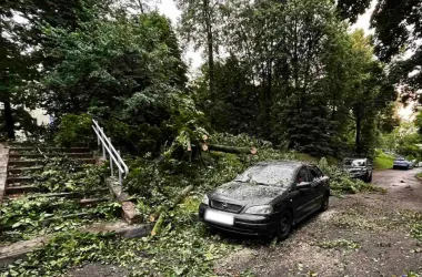 Последствия стихии в Беларуси в цифрах