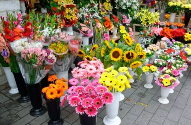 Новые правила торговли живыми цветами введены в Беларуси