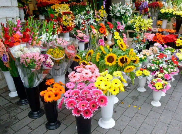 Новые правила торговли живыми цветами введены в Беларуси