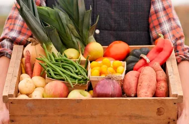 Налоги за продажу овощей и фруктов со своего огорода планируют пересмотреть