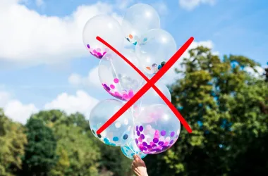 Минприроды призывает отказаться от воздушных шаров на выпускных