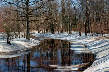 Что изменится в Беларуси с 1 марта