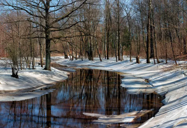 Что изменится в Беларуси с 1 марта