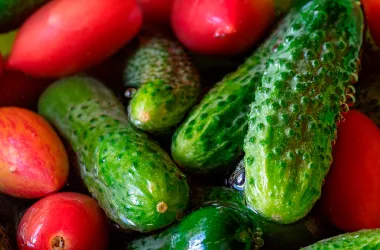 Расширен  перечень овощей для госзаказа и утверждены новые сроки межсезонных поставок