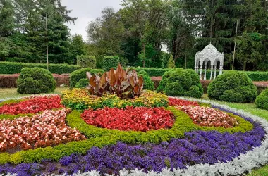 Ботанический сад