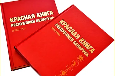 Из Красной книги исключат некоторые виды животных и растений