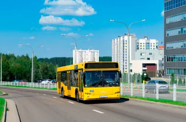 Автобусный маршрут соединит Минск и «Линию Сталина» 3 июля