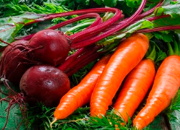 На три месяца введено лицензирование вывоза некоторой сельхозпродукции