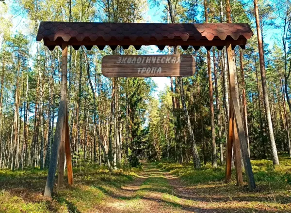 В Центральном районе продлят экотропу у Свислочи, установят новые остановки