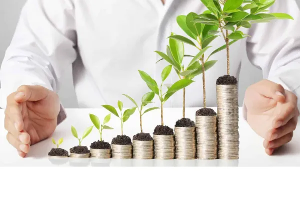 Малый и средний бизнес Минска обеспечил более половины городской выручки в прошлом году