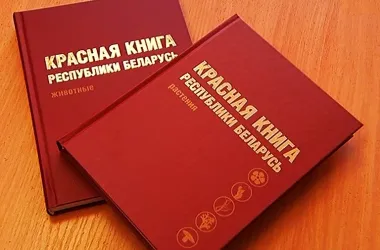 Новую версия Красной книги планируют издать в этом году