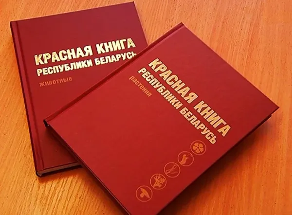 Новую версия Красной книги планируют издать в этом году