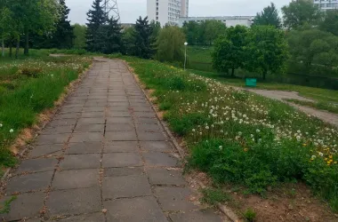 В Ленинском районе Минска благоустроят Антоновский парк и сквер имени Омара Хайяма