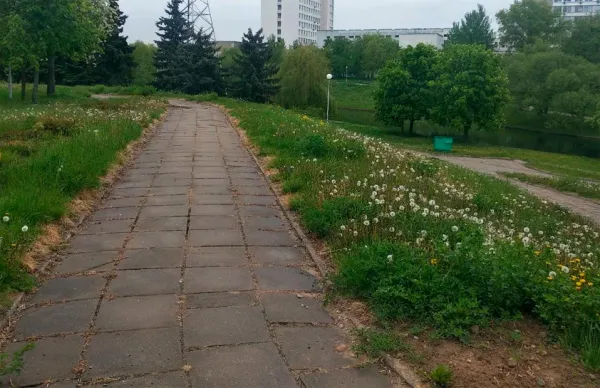 В Ленинском районе Минска благоустроят Антоновский парк и сквер имени Омара Хайяма