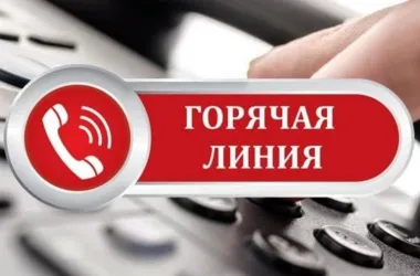 В Минобразования начала работать горячая линия по вопросам вступительной кампании