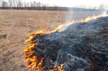 МЧС предупреждает: выжигание сухой травы запрещено законом