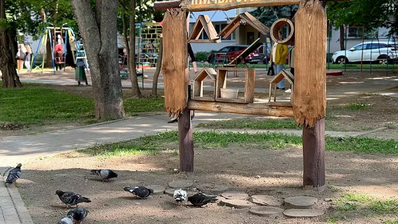 Молодежное движение по благоустройству дворов стартовало в Минске. Фото 1