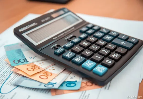 Порядок оплаты страховых взносов за 2024 год напоминает Минтруда