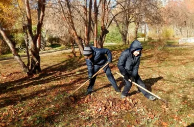 Жителей Советского района приглашают на тематический субботник