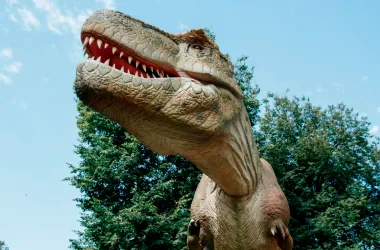 Семейный фестиваль 26 и 27 июля пройдет в Минском зоопарке