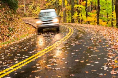 ГАИ предупреждает об опасности вождения на мокрых листьях