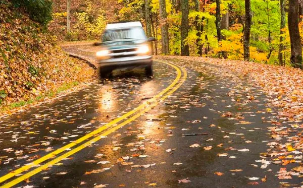 ГАИ предупреждает об опасности вождения на мокрых листьях