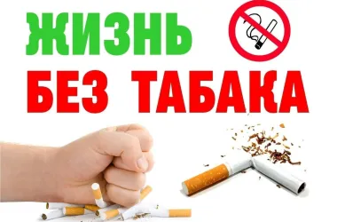В Беларуси стартовала акция ко Всемирному дню без табака