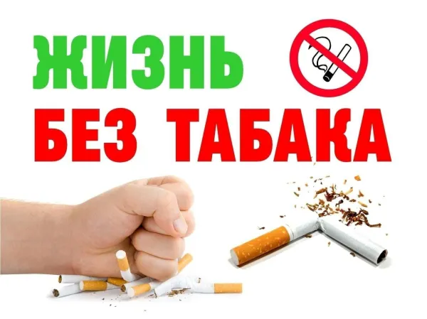 В Беларуси стартовала акция ко Всемирному дню без табака