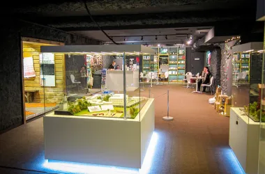 Музей миниатюр «Страна мини»