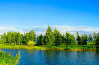 Экологическая акция «Беларусь синеокая» проходит в Беларуси