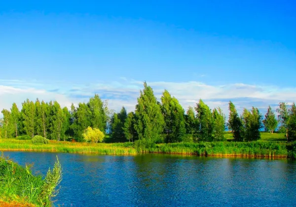 Экологическая акция «Беларусь синеокая» проходит в Беларуси