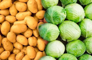 В Беларуси открылся сезон приема урожая овощей