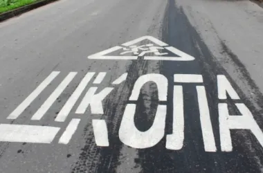 Разметка и знаки возле школ станут более понятными для автомобилистов