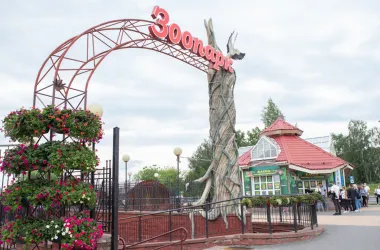 «Семейный день» впервые организуют в Минском зоопарке 23 августа