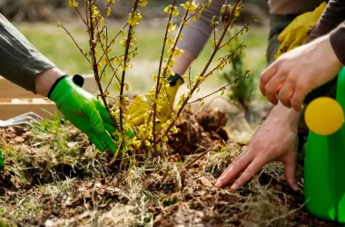 Масштабное озеленение в рамках субботника пройдет в столице