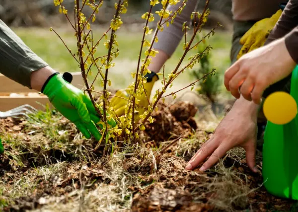 Масштабное озеленение в рамках субботника пройдет в столице