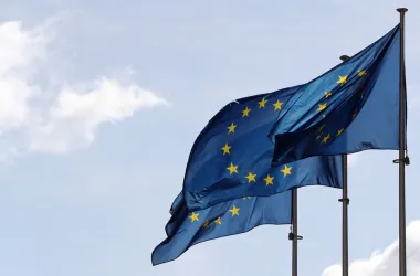 ЕС введет цифровой контроль границ для иностранцев