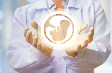 Второе ЭКО за госсчет планируют предоставлять в Беларуси