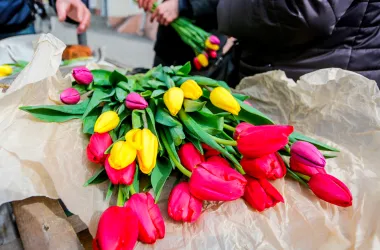 МНС напоминает об изменениях в правилах торговли живыми цветами