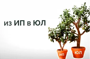 «Бесшовный» переход в юрлицо для ИП продлен в 2026 году