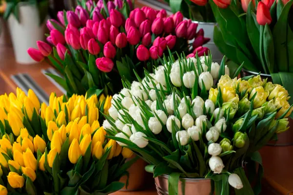 184 площадки по продаже цветов начали работу в Минске