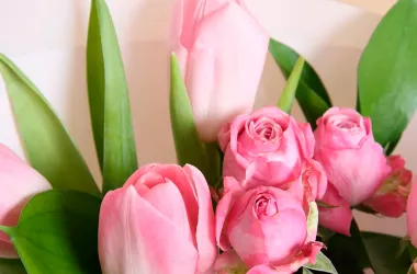 60 тысяч роз и 200 тысяч тюльпанов поставят в магазины Минска к празднику